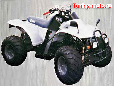 MGM Quad`s Twin Enqine